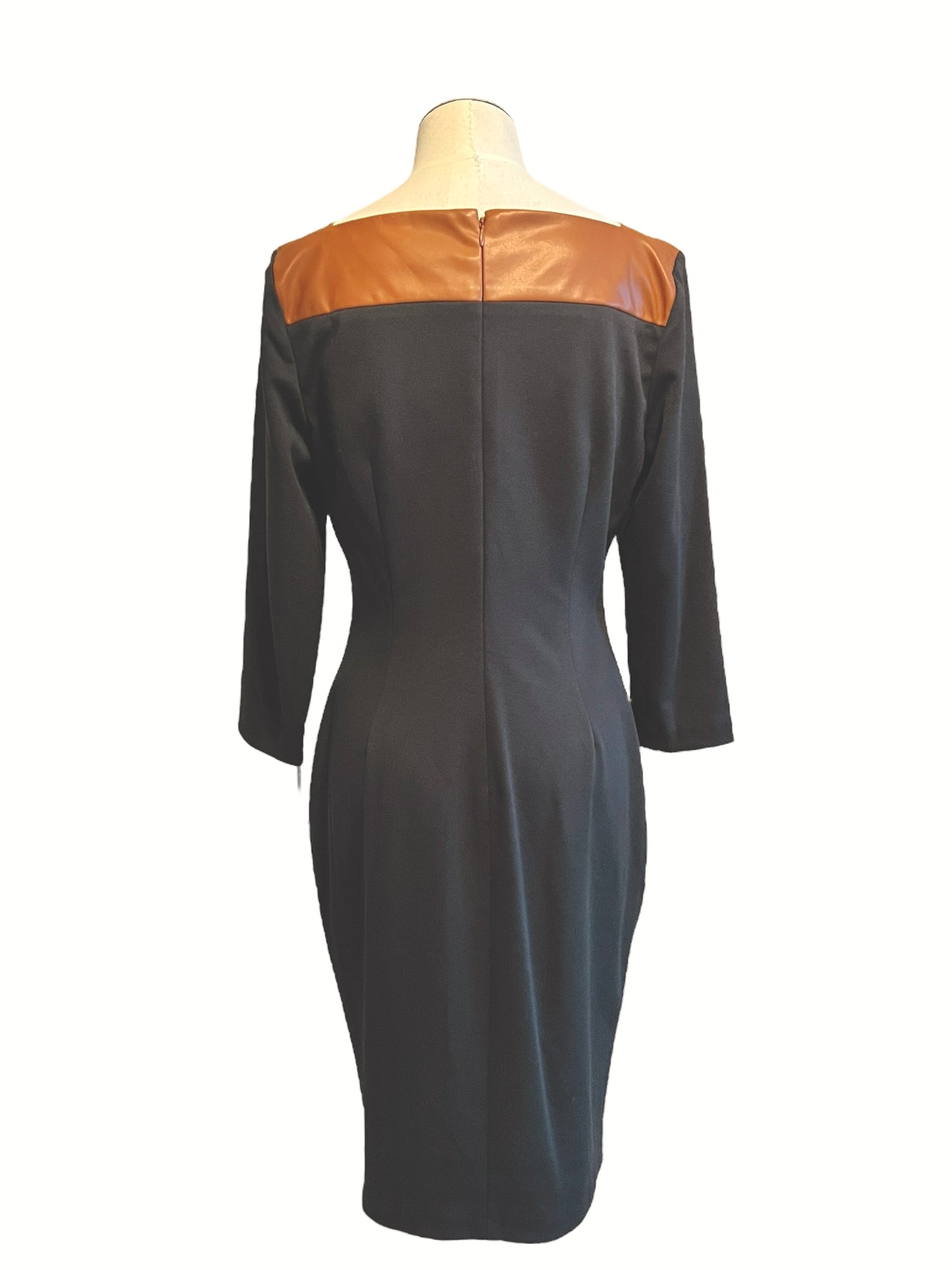 Calvin Klein Size 10 Black & Tan Dress