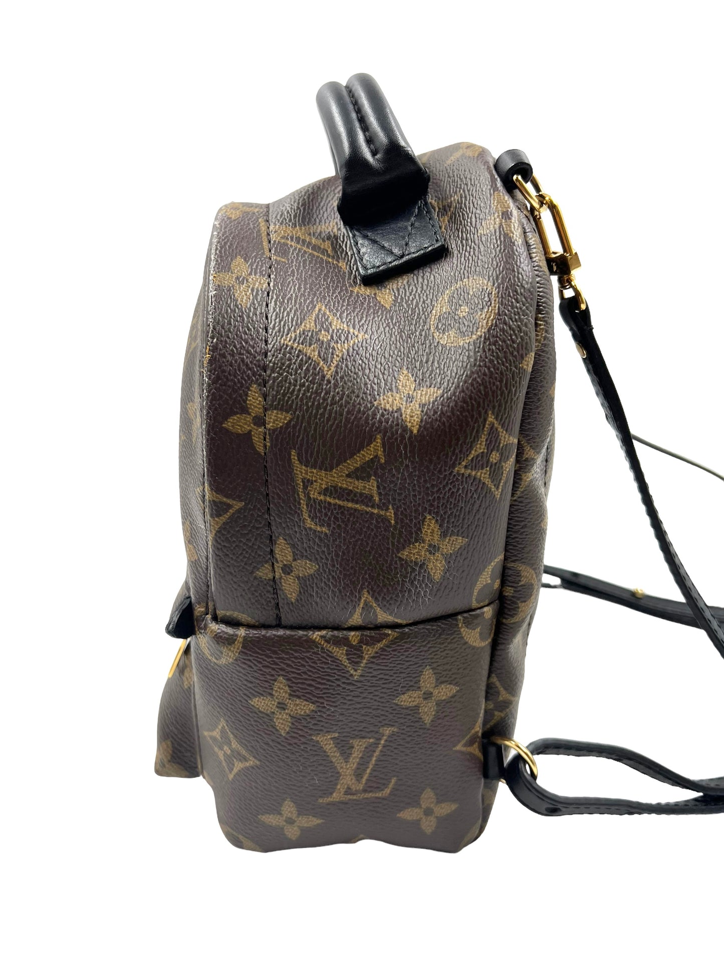 Louis Vuitton 2016 Monogram Palm Springs Mini Backpack