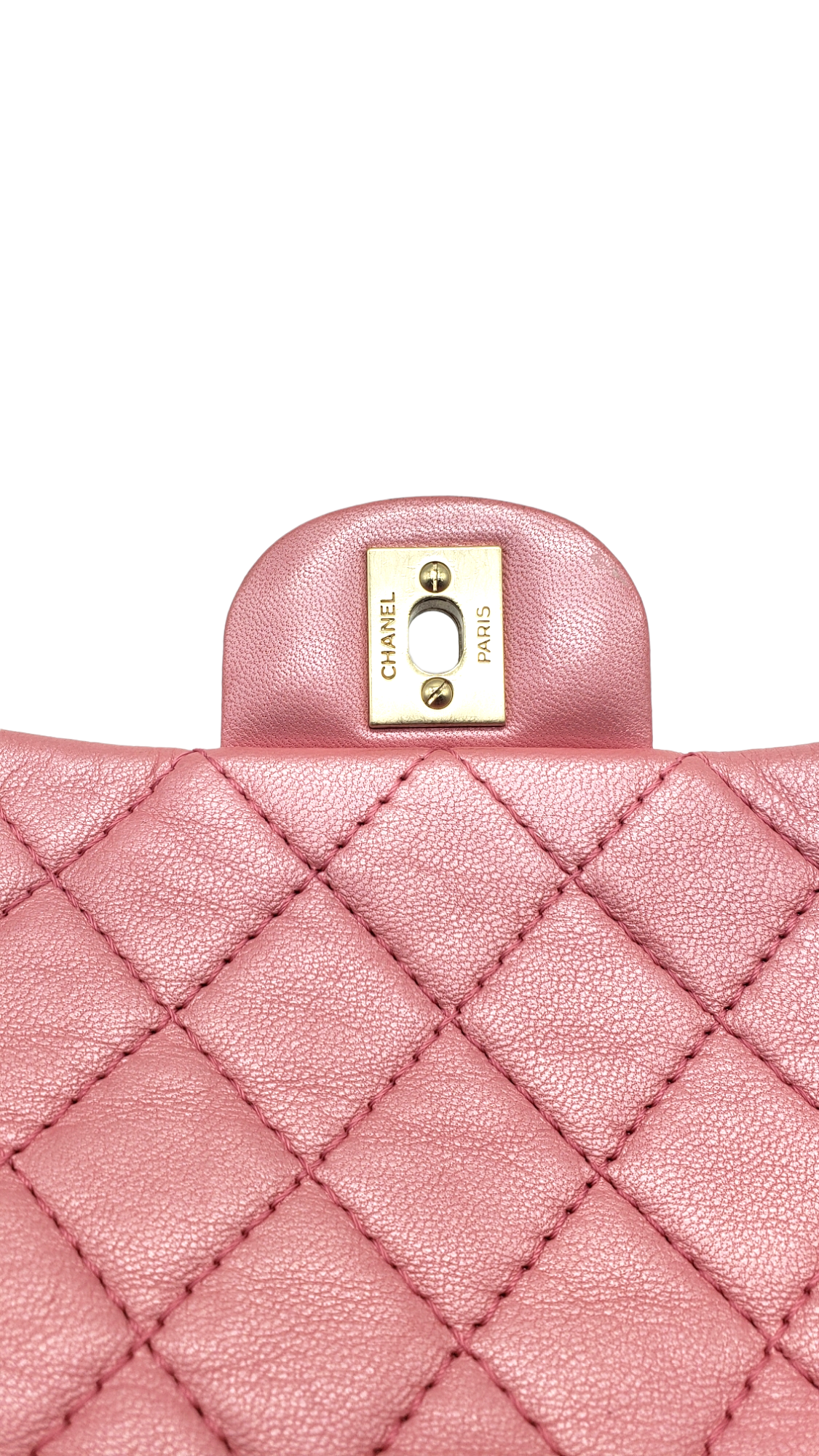 Chanel Pink 2010-2011 Lambskin Precious Jewel Flap Bag