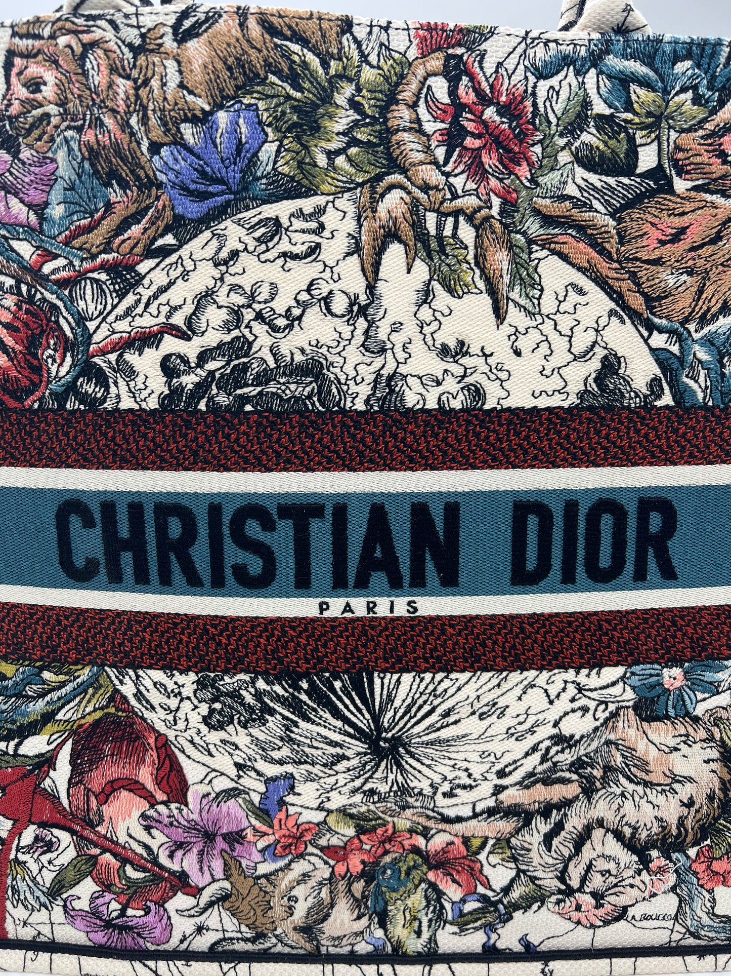 Dior Large Zodiac and Constellation Motif Embroidered Book Tote