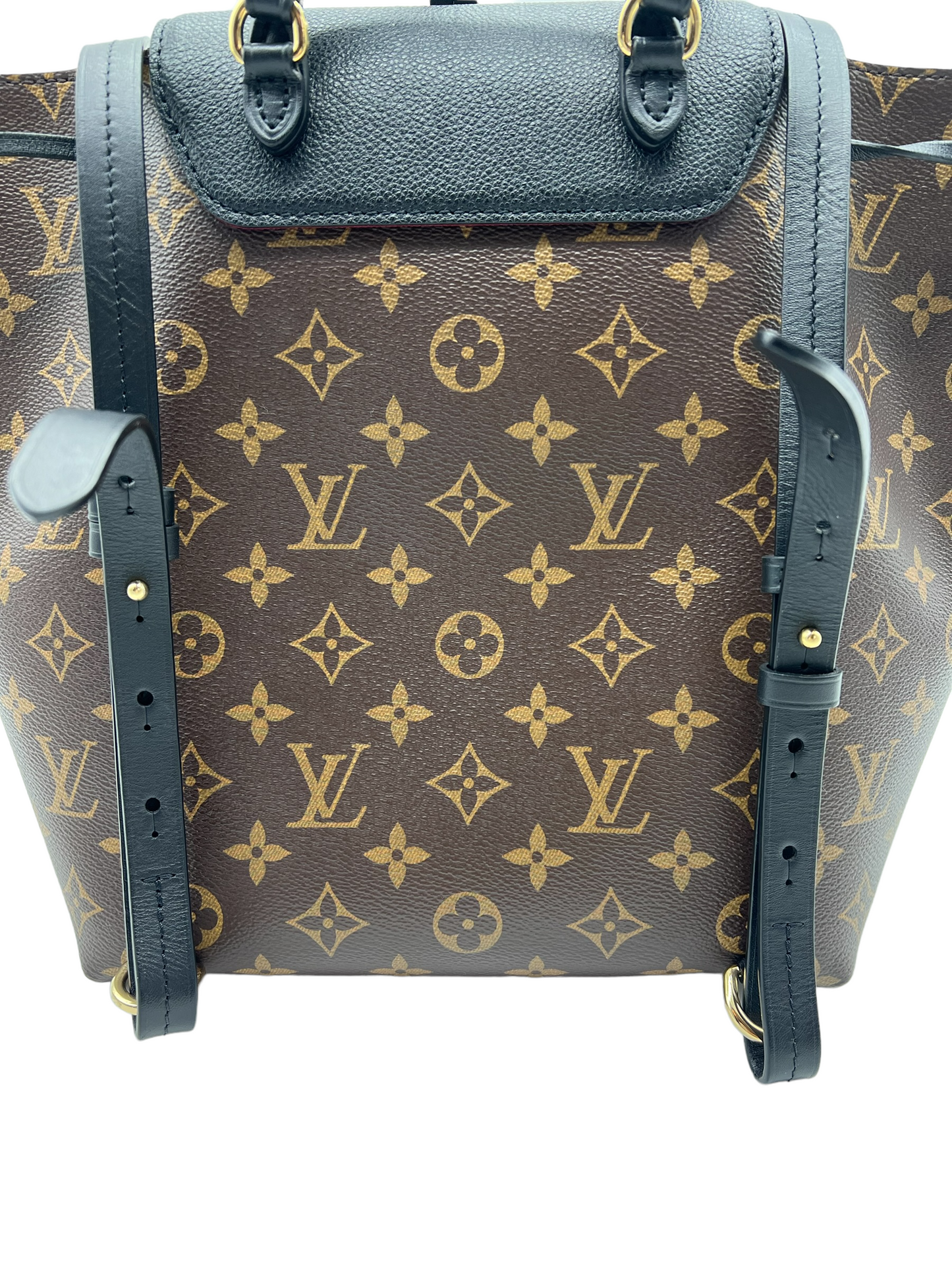 Louis Vuitton Monogram Montsouris PM Nm Backpack Handbag