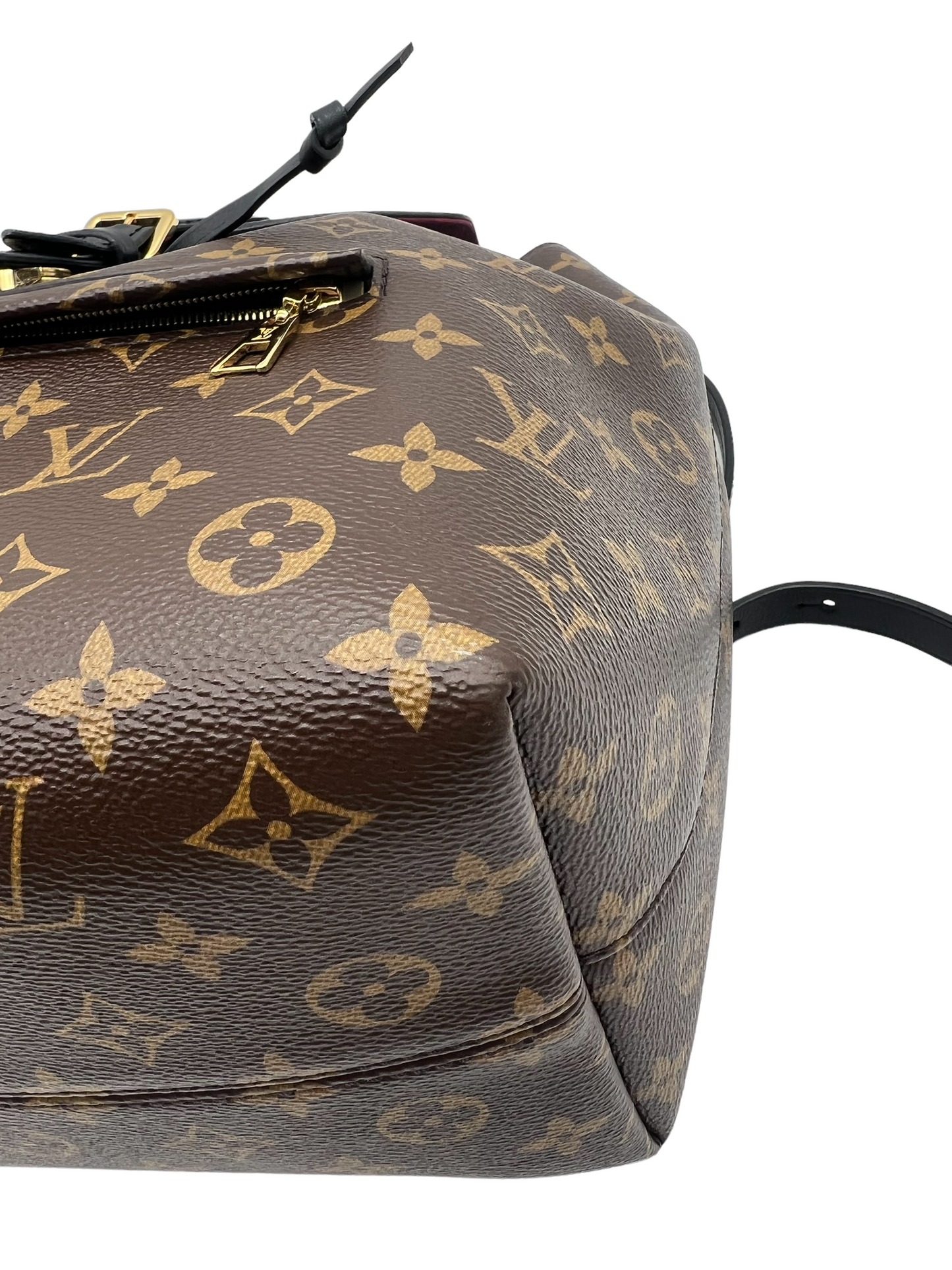 Louis Vuitton Monogram Montsouris PM Nm Backpack Handbag