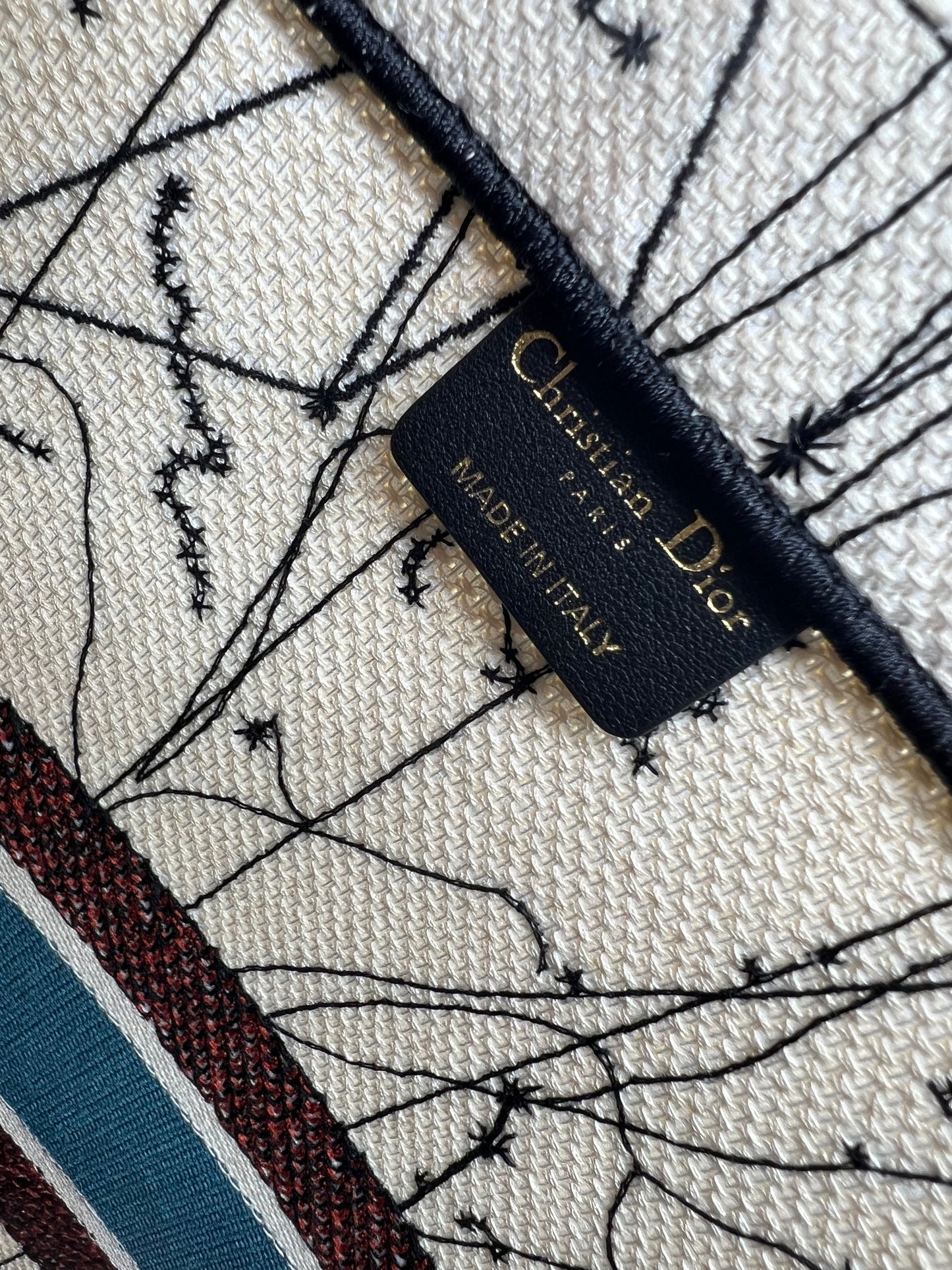 Dior Large Zodiac and Constellation Motif Embroidered Book Tote