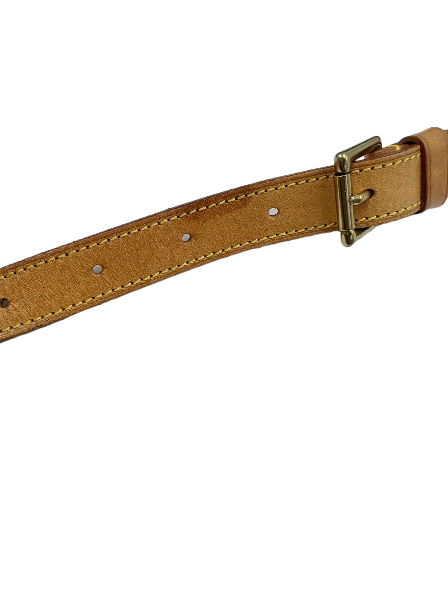 Louis Vuitton Musette Salsa GM Crossbody Shoulder Bag