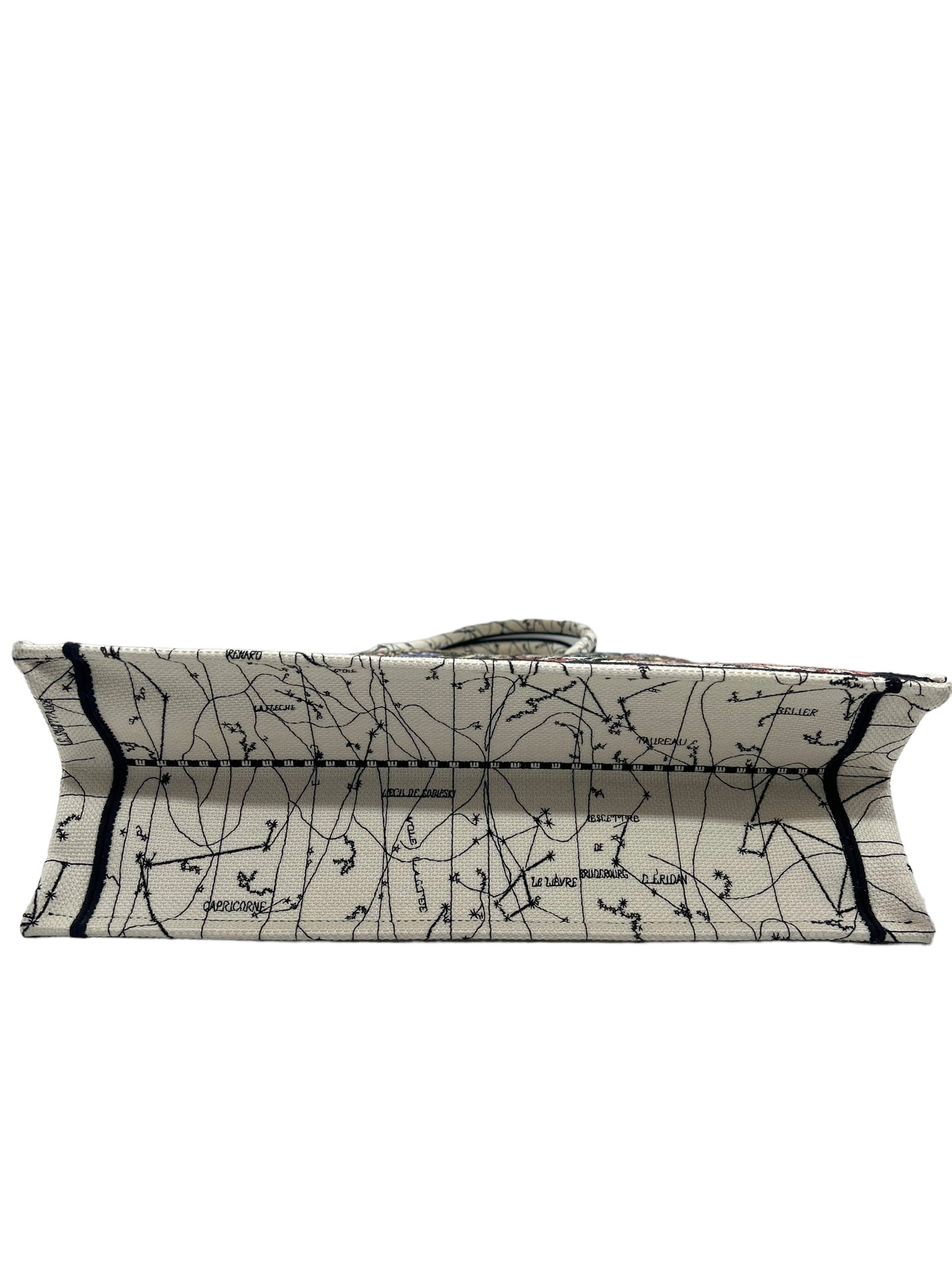 Dior Large Zodiac and Constellation Motif Embroidered Book Tote