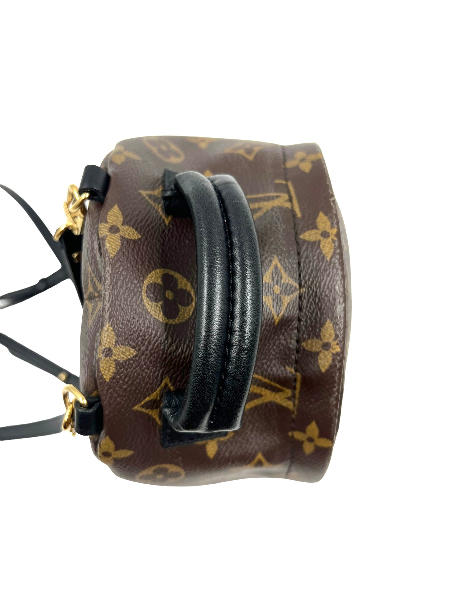 Louis Vuitton 2016 Monogram Palm Springs Mini Backpack