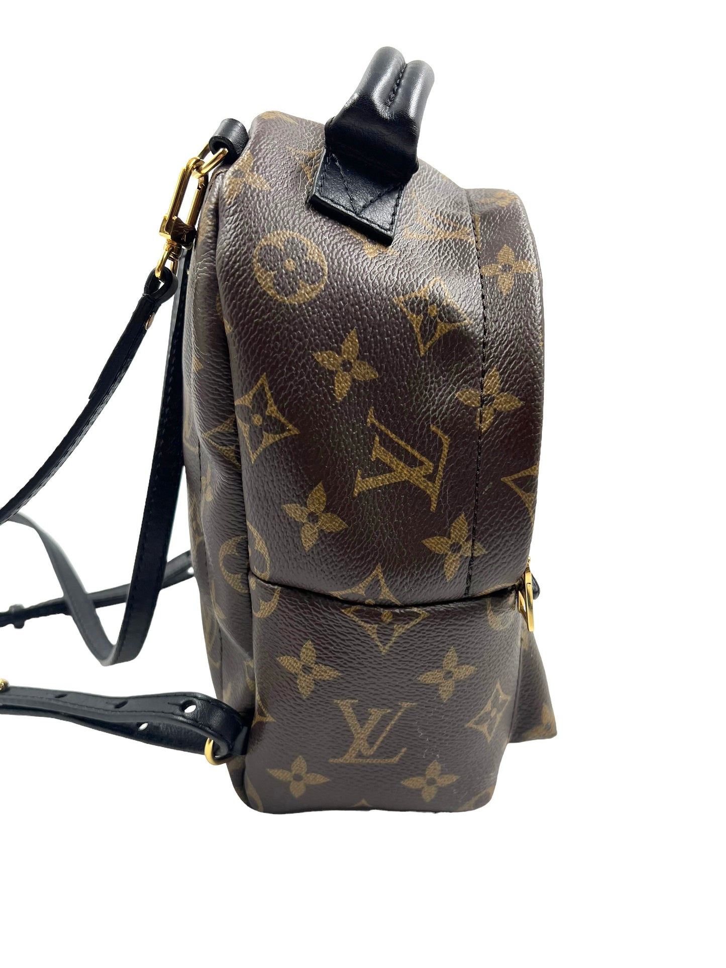 Louis Vuitton 2016 Monogram Palm Springs Mini Backpack