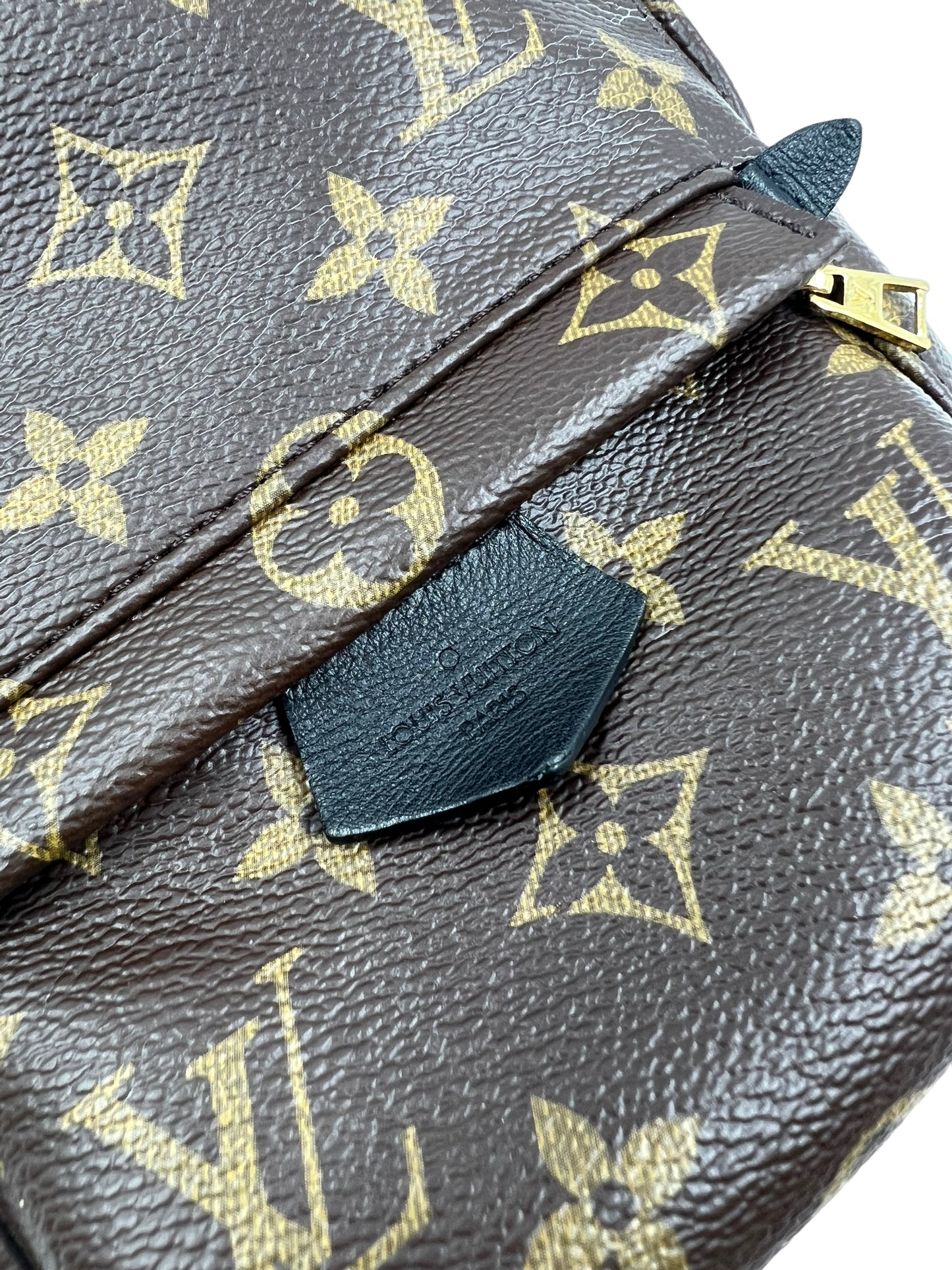 Louis Vuitton 2016 Monogram Palm Springs Mini Backpack