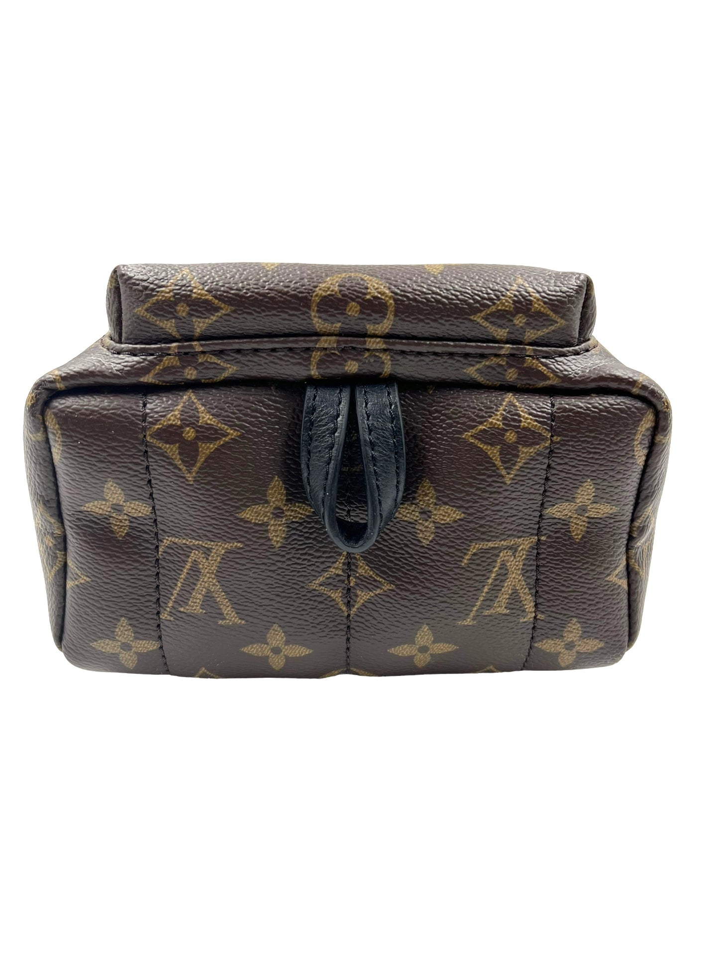 Louis Vuitton 2016 Monogram Palm Springs Mini Backpack