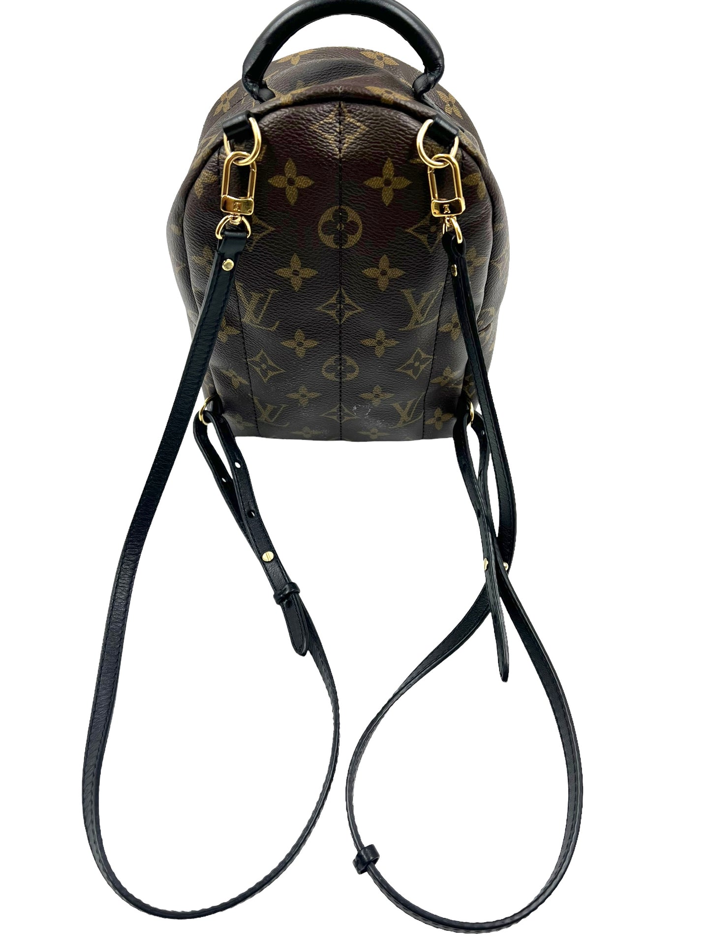 Louis Vuitton 2016 Monogram Palm Springs Mini Backpack