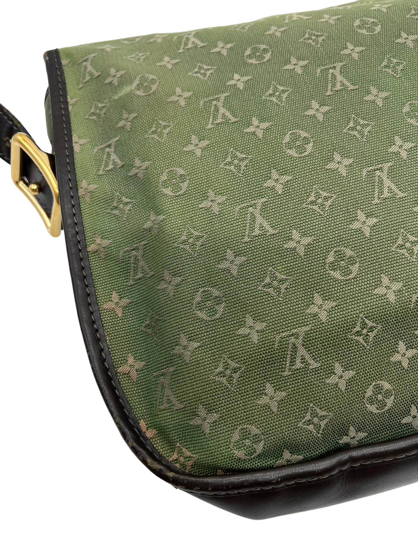 Louis Vuitton Green Monogram Mini Lin Montsouris GM QJB0B81SG3015