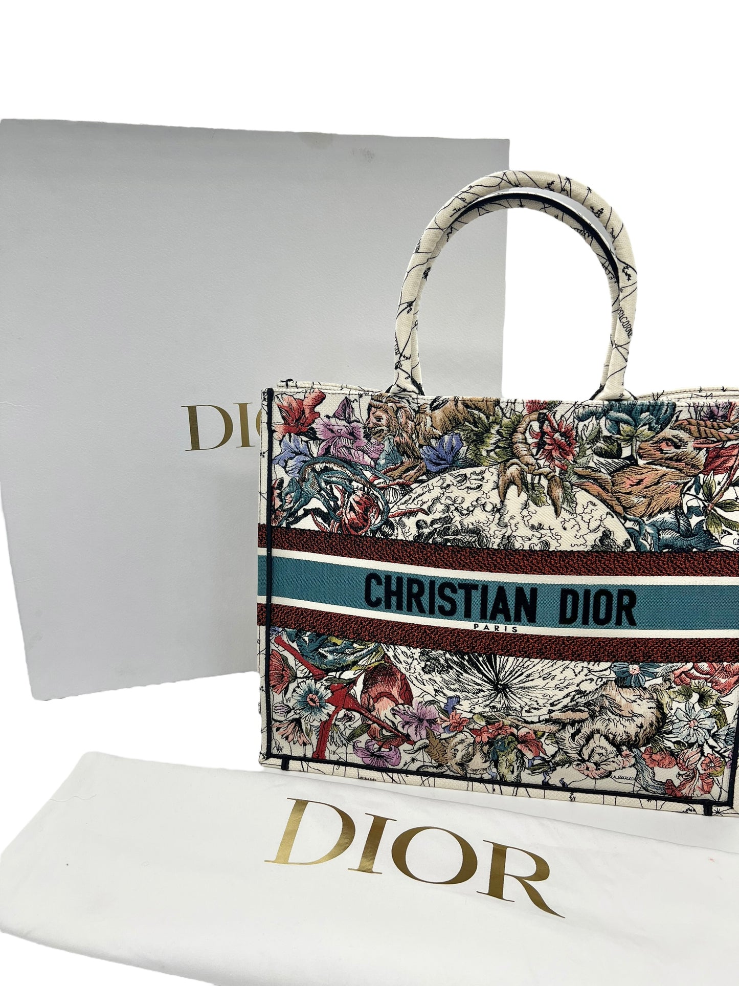 Dior Large Zodiac and Constellation Motif Embroidered Book Tote